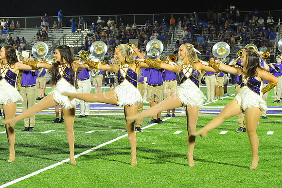 DSHS vs Mandeville (331)