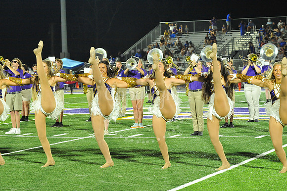 DSHS vs Mandeville (332)