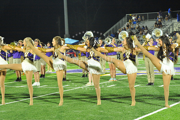 DSHS vs Mandeville (333)
