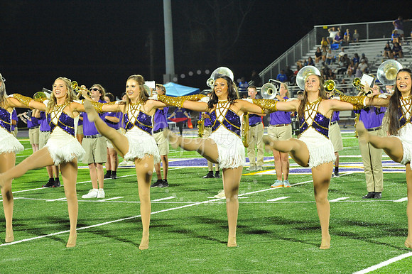 DSHS vs Mandeville (334)