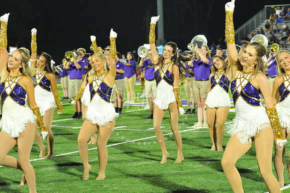 DSHS vs Mandeville (336)