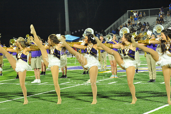 DSHS vs Mandeville (335)