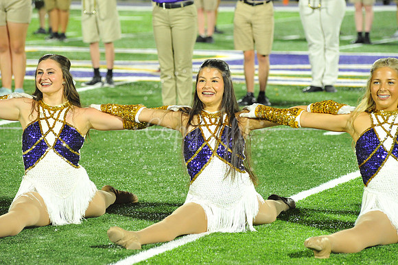 DSHS vs Mandeville (337)