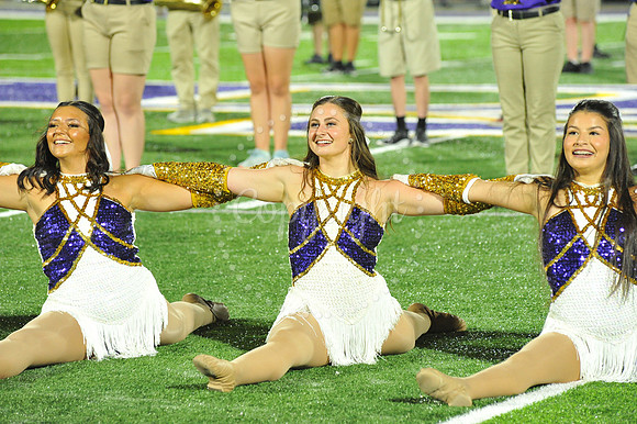 DSHS vs Mandeville (338)