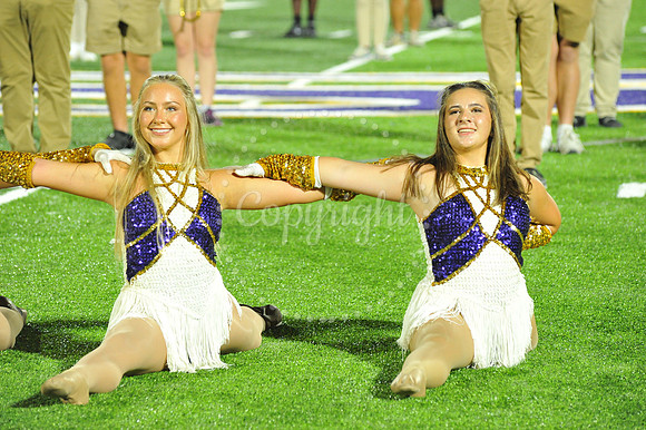 DSHS vs Mandeville (339)