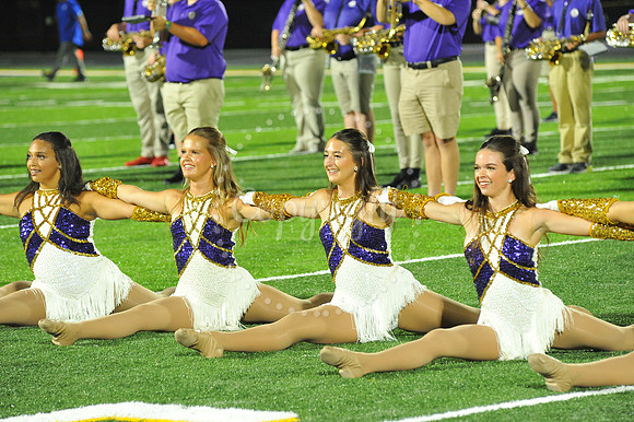 DSHS vs Mandeville (340)