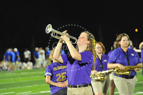 DSHS vs Mandeville (343)