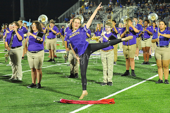 DSHS vs Mandeville (342)