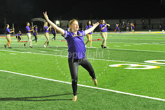 DSHS vs Mandeville (344)