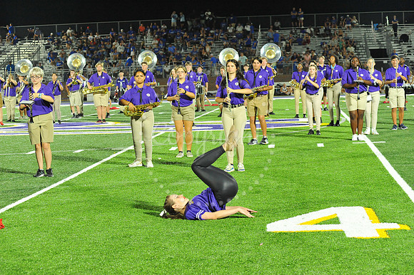 DSHS vs Mandeville (345)