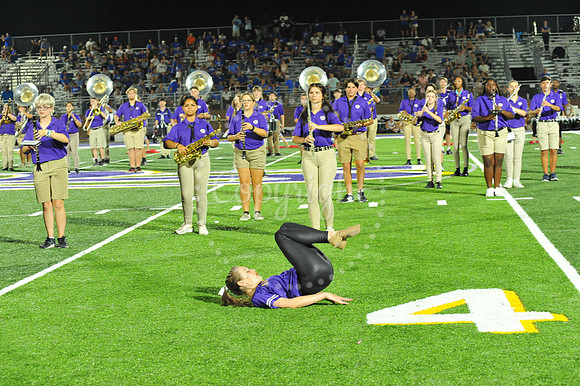 DSHS vs Mandeville (346)