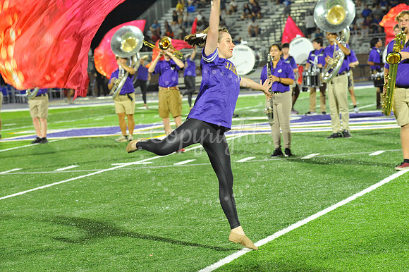 DSHS vs Mandeville (348)