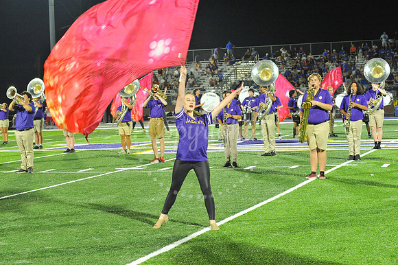 DSHS vs Mandeville (349)
