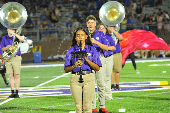 DSHS vs Mandeville (352)