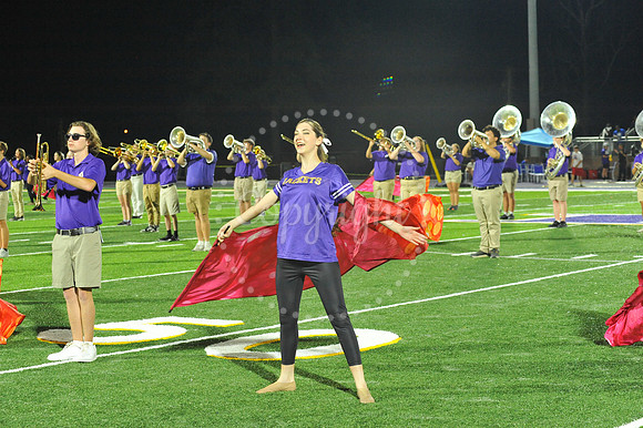 DSHS vs Mandeville (350)
