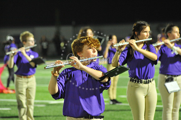 DSHS vs Mandeville (355)