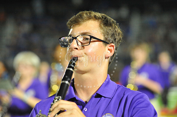 DSHS vs Mandeville (361)