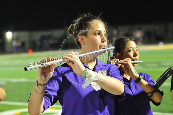 DSHS vs Mandeville (363)