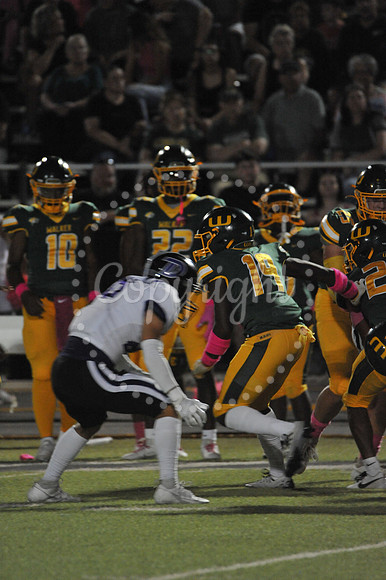 WHS vs Dutchtown 10-6-23 (100)
