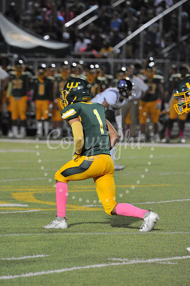WHS vs Dutchtown 10-6-23 (113)