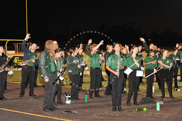 BandFamily (11)