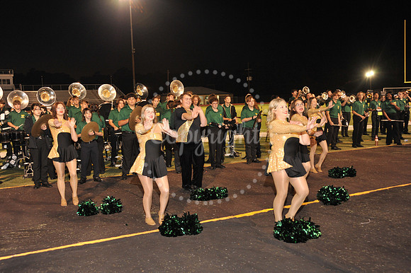 BandFamily (12)