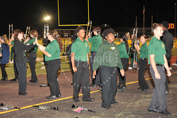BandFamily (20)