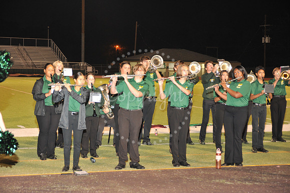 BandFamily (22)