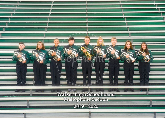 Mellophone Section 5x7 with logo