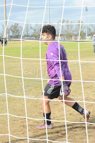 SMSR (14)