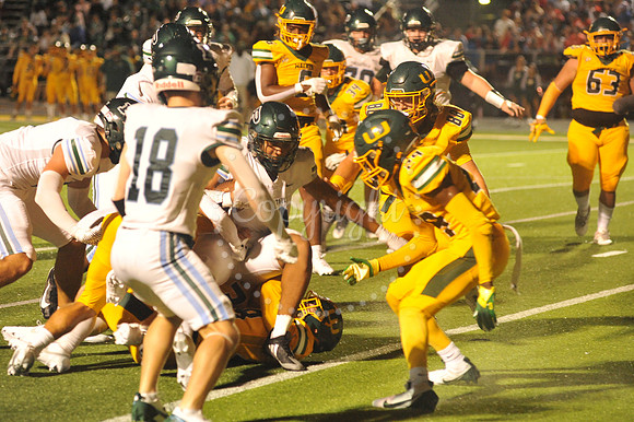 WHS vs Ponchatoula 9-6-24 (109)