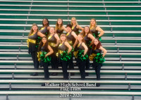 Flag Team 5x7 with logo
