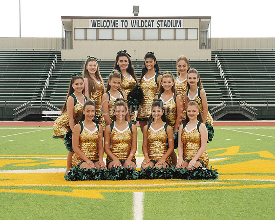 Dance Team