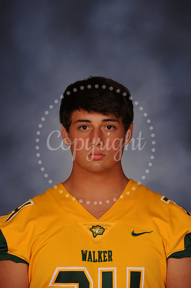 Dimartino, Ryan