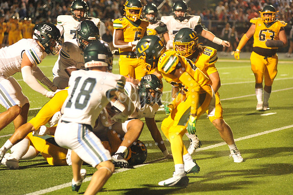 WHS vs Ponchatoula 9-6-24 (110)