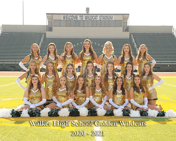 Dance Team - 8x10 with litho