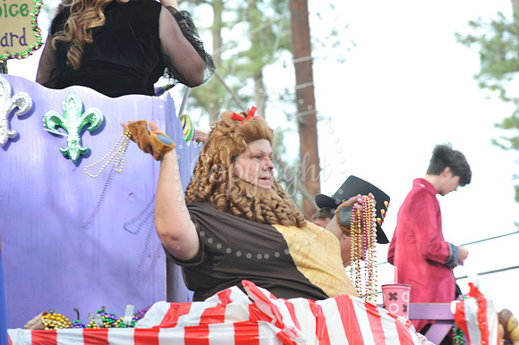 Parade 2-15-25 (94)