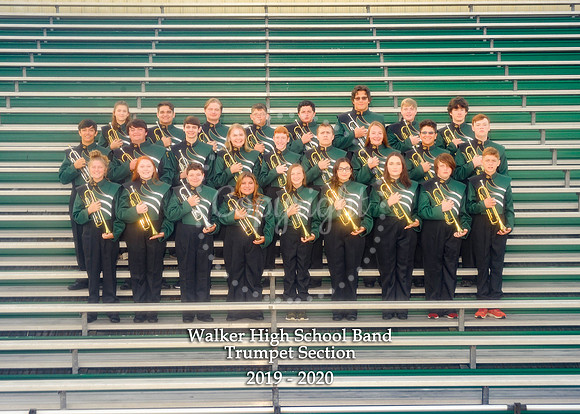 Trumpet Section 5x7 with logo