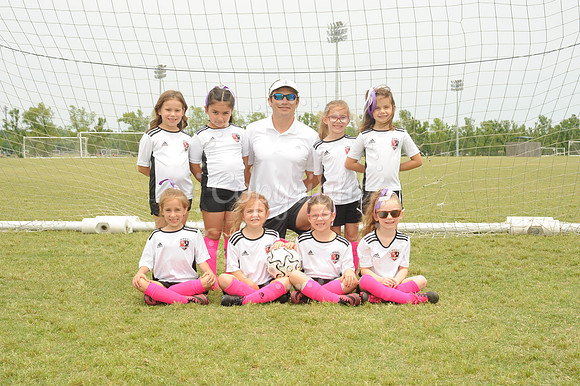 Pink Dragons