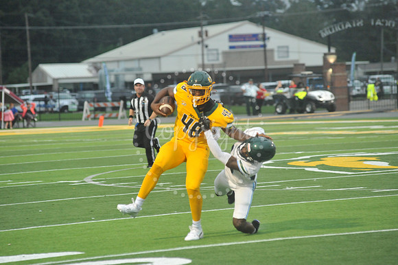 WHS vs Ponchatoula 9-6-24 (37)