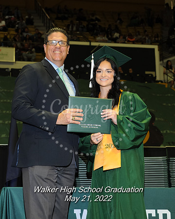 Vince, Sierra
