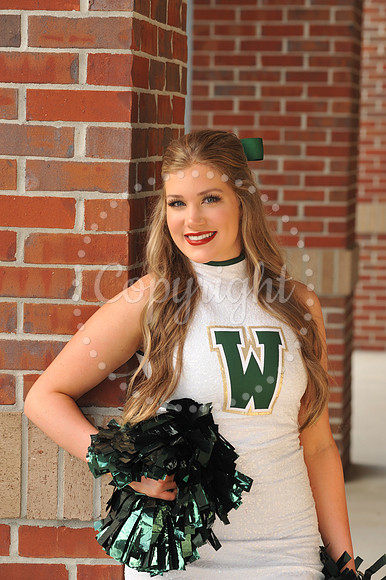 WD19